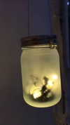 shai_landau_ Altpins Profile Picture