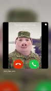 haylujan Altpins Profile Picture