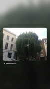 alexalizzz Altpins Profile Picture