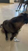 dante_yangpa Altpins Profile Picture