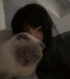 drowsylio Altpins Profile Picture