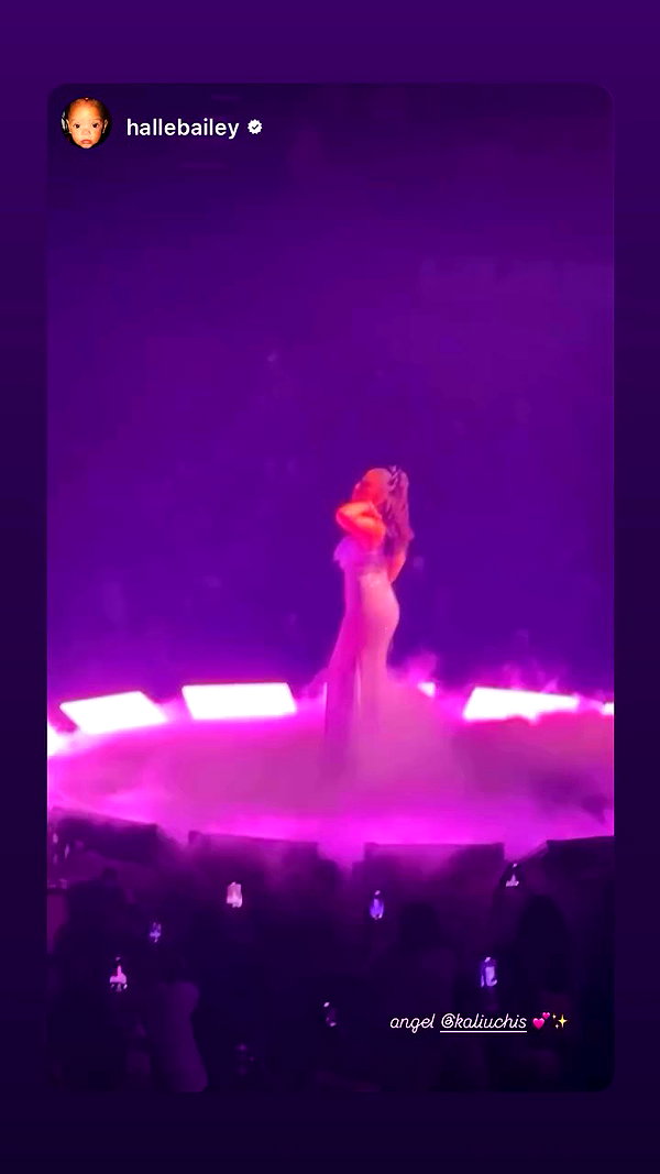 kaliuchis archive video preview