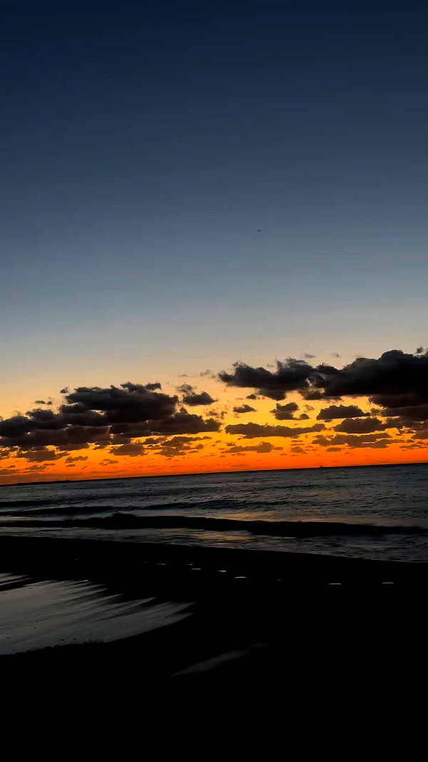 gissell_eli archive video preview