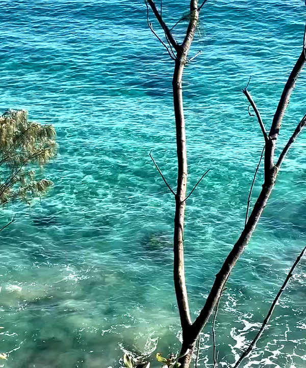 caseyjamess_ archive video preview