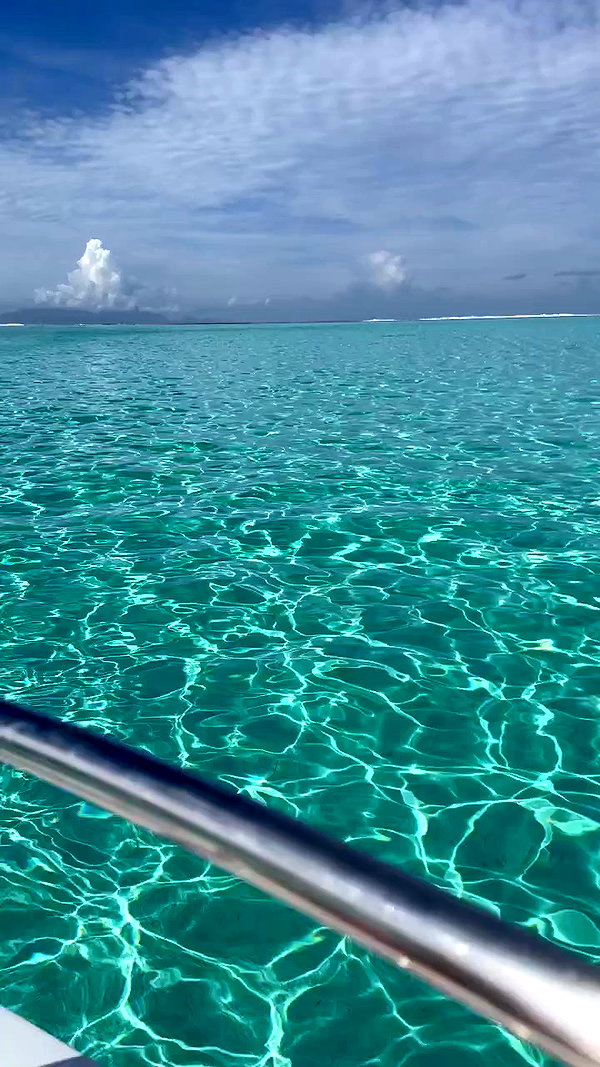 ellianawalmsley archive video preview