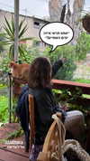 roni_ackerman Altpins Profile Picture
