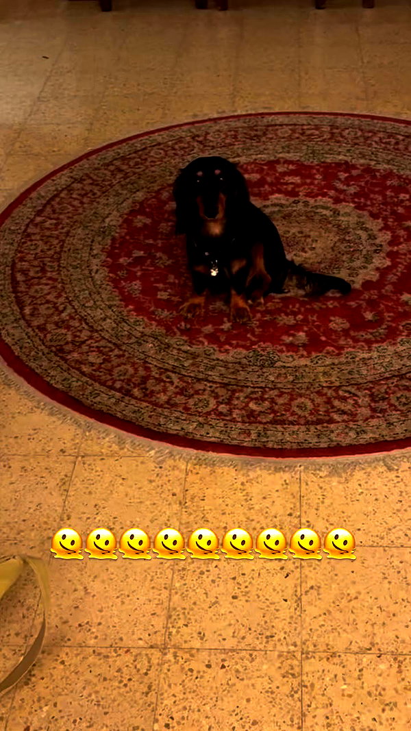 libby_reut archive video preview