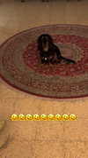 libby_reut Altpins Profile Picture