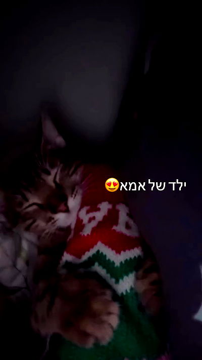 hellokittyangel666 hellokittyangel666 archive video