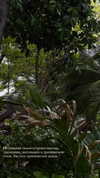 veroni22ka Altpins Profile Picture