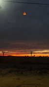 agam_nachman Altpins Profile Picture