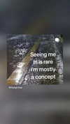 _ann.kim_ Altpins Profile Picture