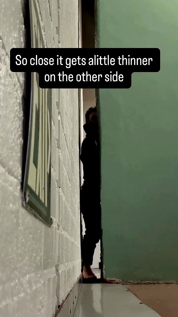 swholeanimal archive video preview