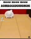 catl0verr69 Altpins Profile Picture