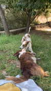 _broock_ Altpins Profile Picture