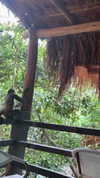 itsilanosh Altpins Profile Picture