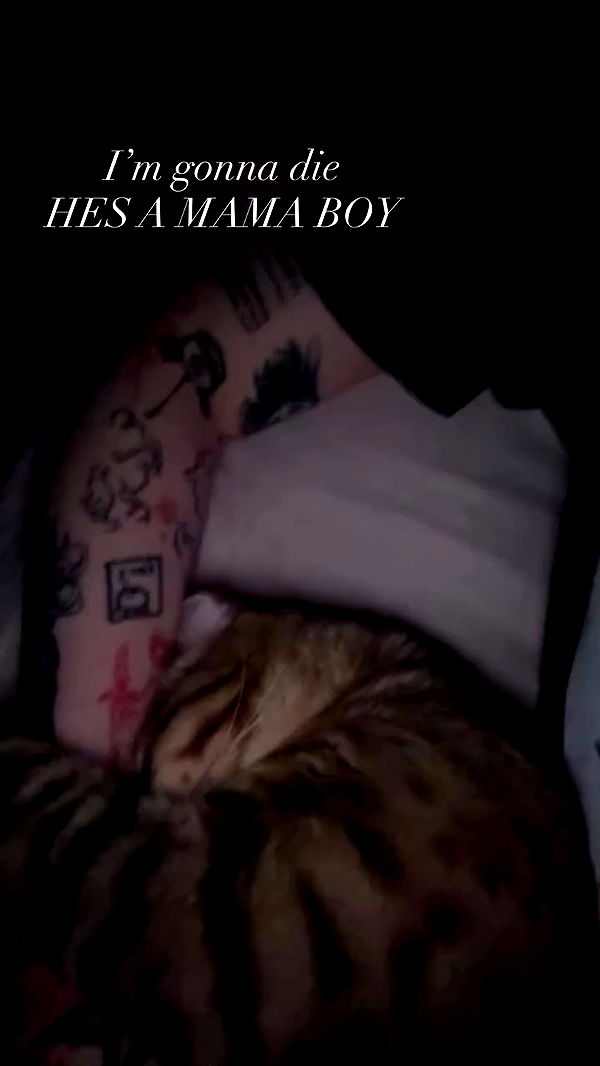 laurinchhhe archive video preview