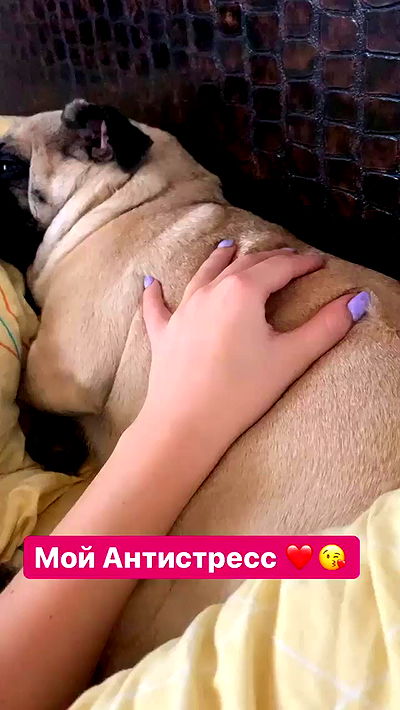 nyityam nyityam archive video