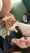 littlemiauwu Altpins Profile Picture