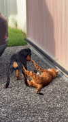 olivia.mathers Altpins Profile Picture