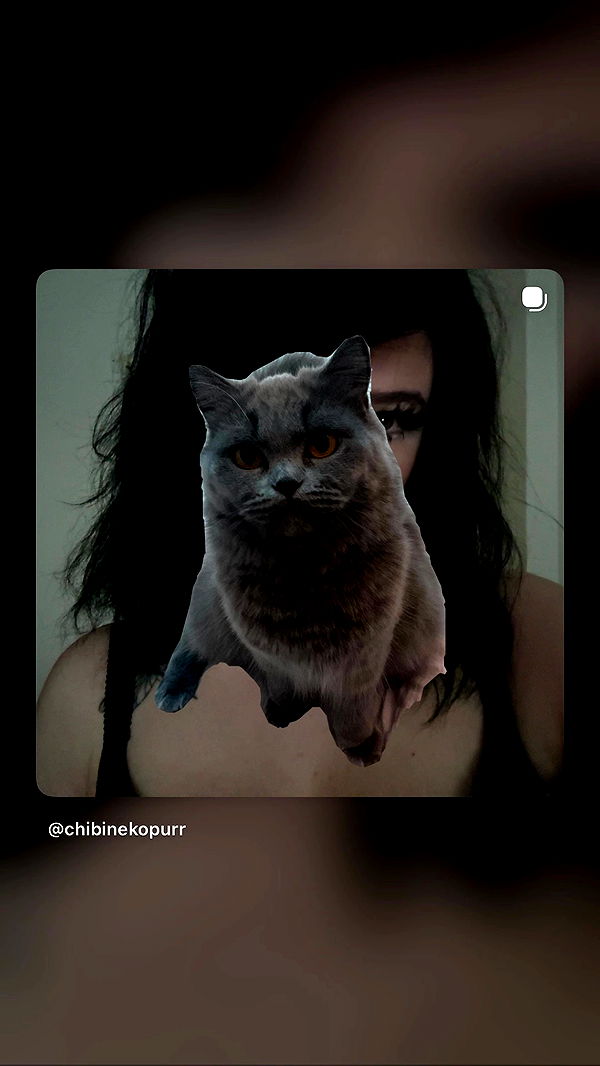 chibinekopurr archive video preview