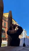 biancanataliie Altpins Profile Picture