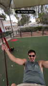 noy_cohen00 Altpins Profile Picture