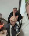 roni_ackerman Altpins Profile Picture