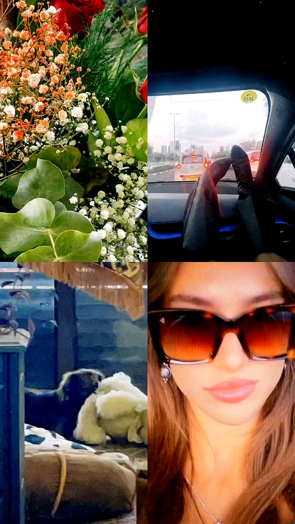 libby_reut archive video preview
