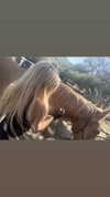 rchhhll Altpins Profile Picture