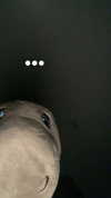 gisellelee8 Altpins Profile Picture