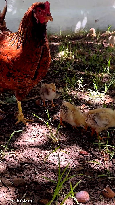 taylor.creeden taylor.creeden archive video