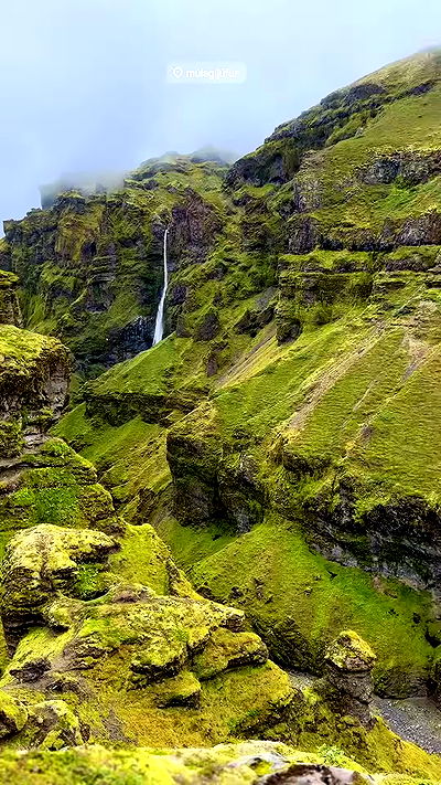 taylor.creeden taylor.creeden archive video