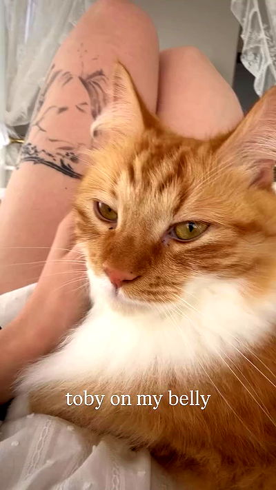 iheartpidge iheartpidge archive video