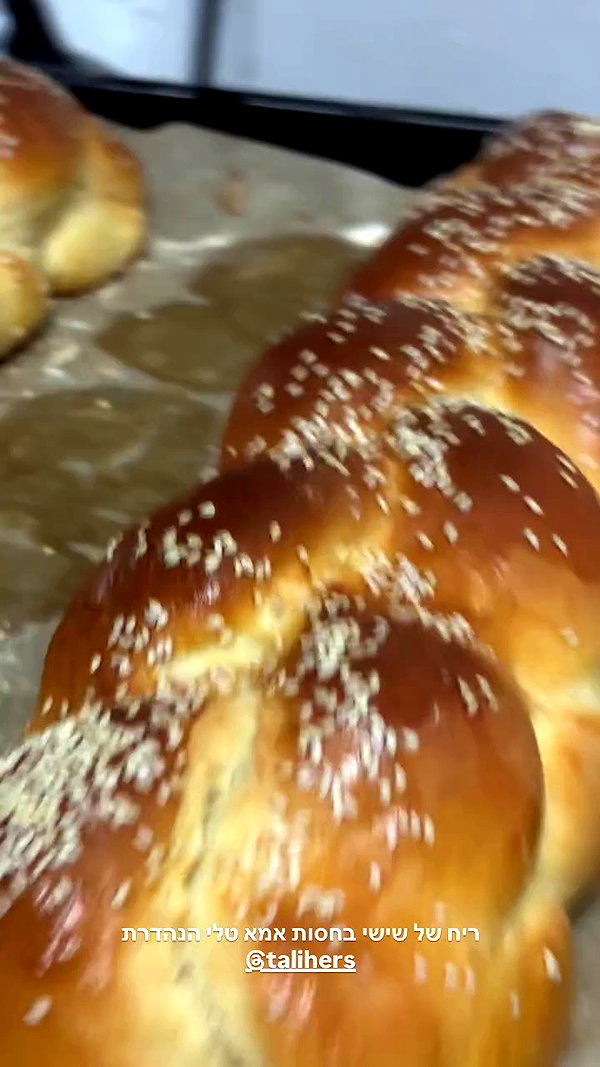 roni_ackerman archive video preview