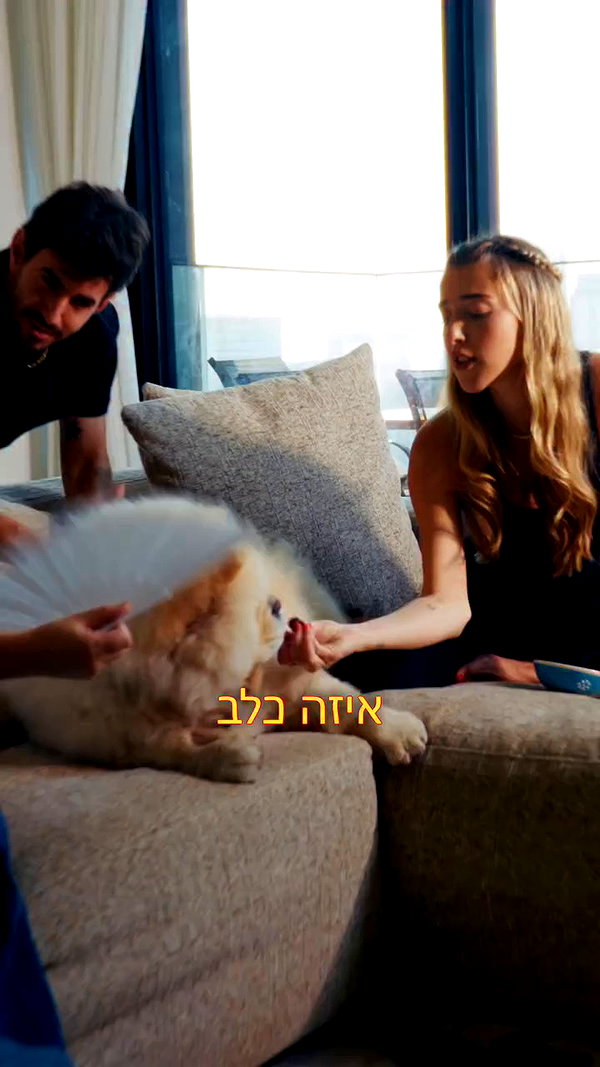 annezivi archive video preview