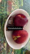 moonliliaght Altpins Profile Picture