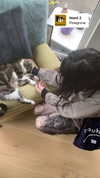 jahia_brown Altpins Profile Picture