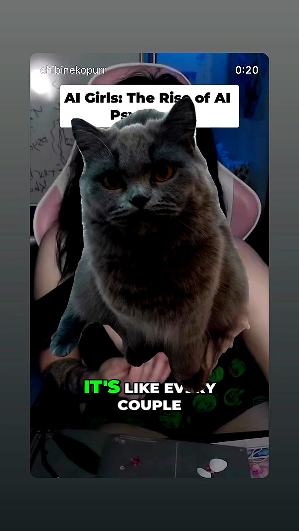 chibinekopurr archive video preview