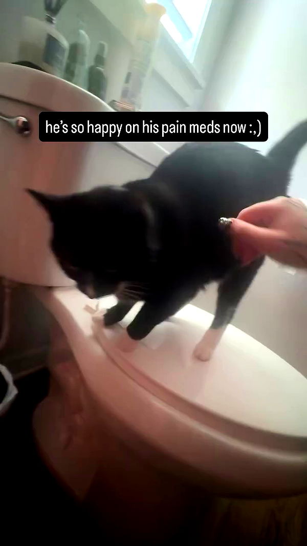 6nattynat9 archive video preview