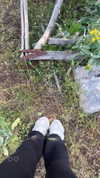 evasela__ Altpins Profile Picture