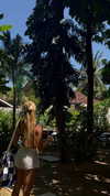 laniskot Altpins Profile Picture