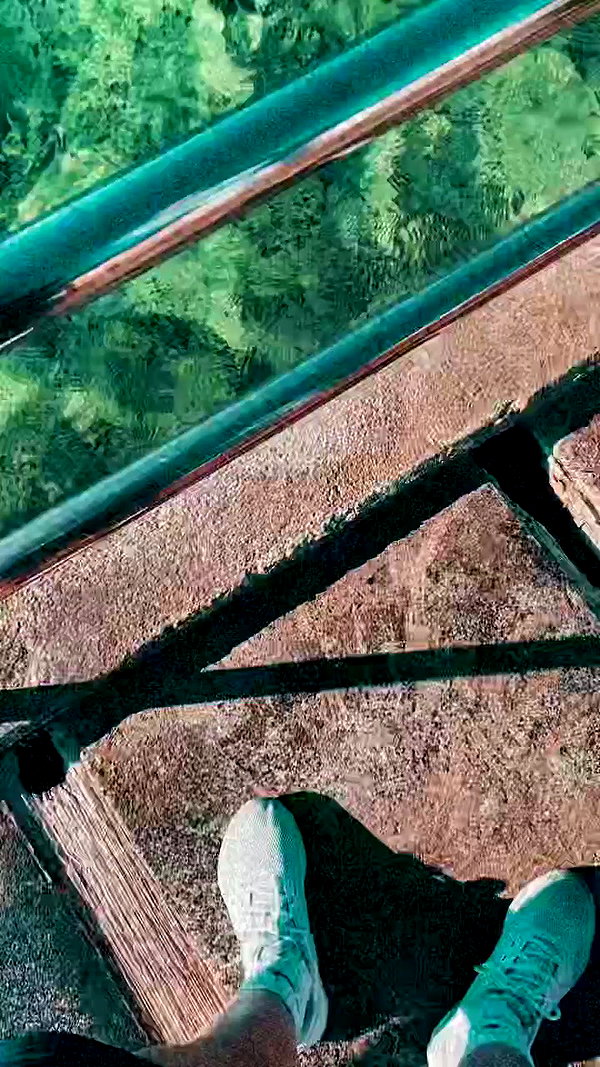 ancideja archive video preview