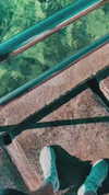 ancideja Altpins Profile Picture