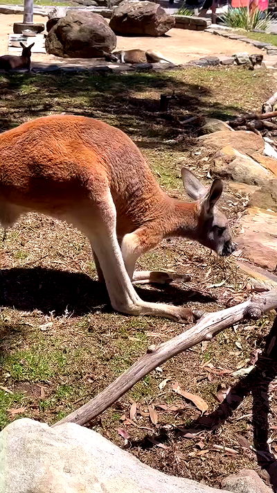 taylor.creeden taylor.creeden archive video