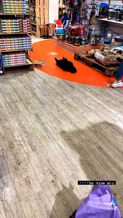 mishel116 mishel116 archive video