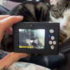 jahia_brown Altpins Profile Picture