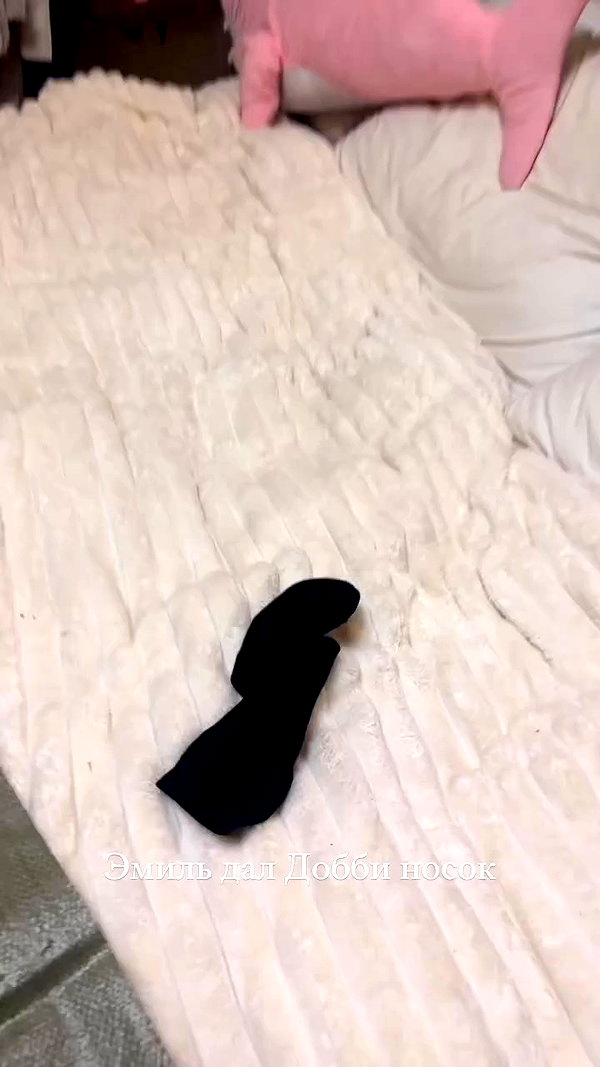 enikeeva_aliya archive video preview