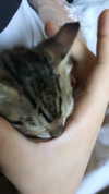 evasela__ Altpins Profile Picture