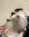 jadelaverne Altpins Profile Picture